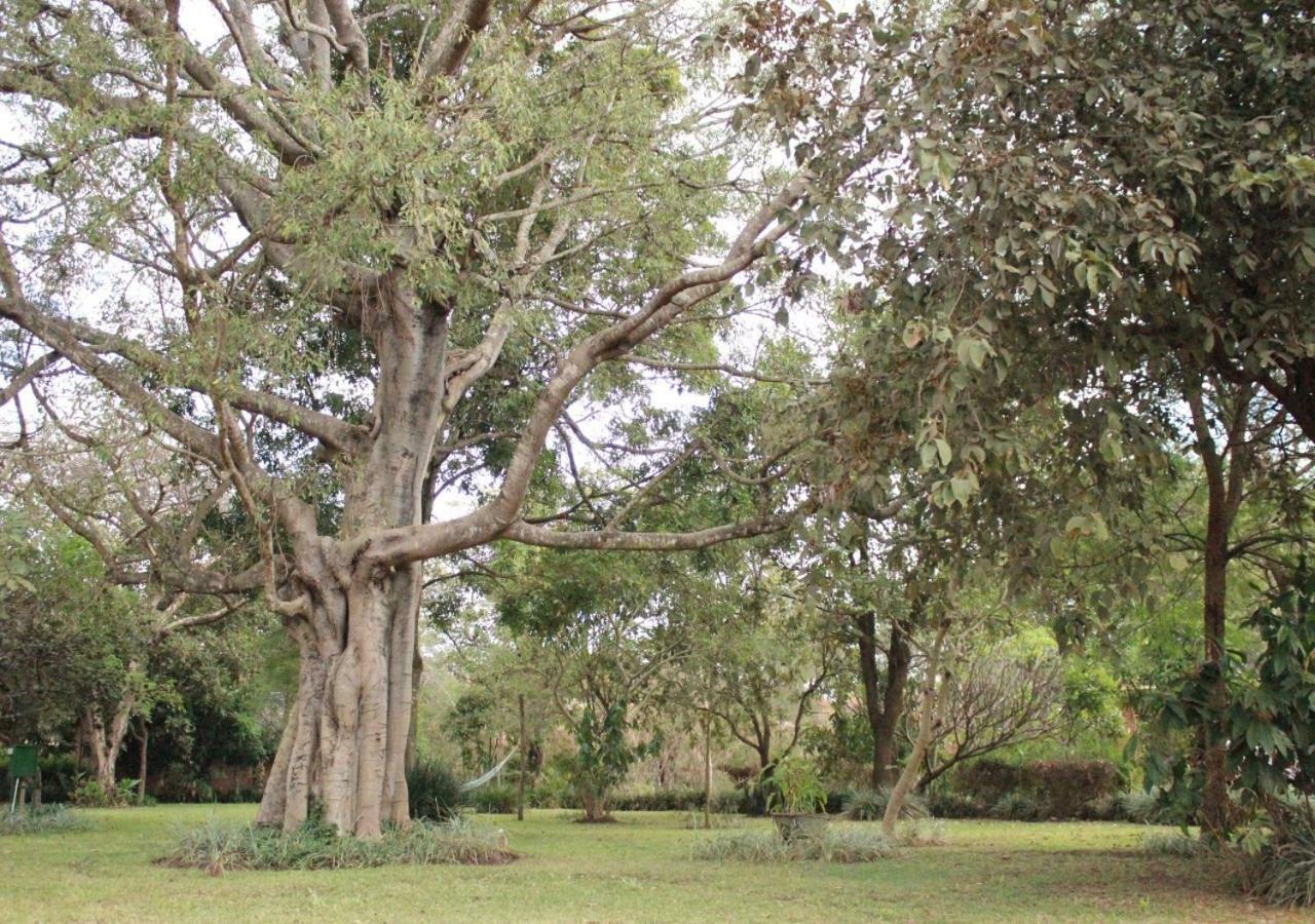 Barefoot Lodge And Safaris - Malawi Λιλόνγκουε Εξωτερικό φωτογραφία