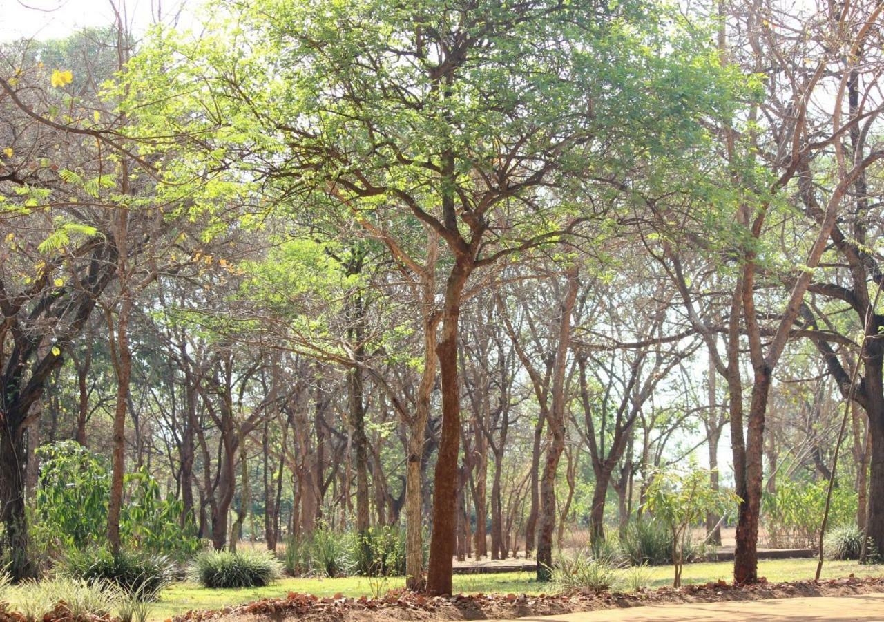 Barefoot Lodge And Safaris - Malawi Λιλόνγκουε Εξωτερικό φωτογραφία